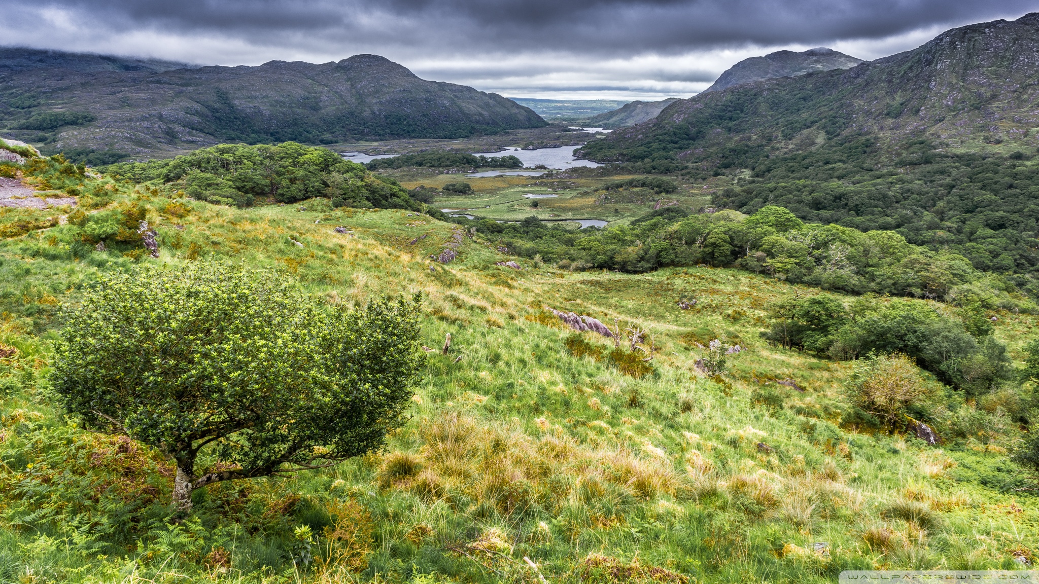 Ladies Killarney National Park In Ireland UltraHD