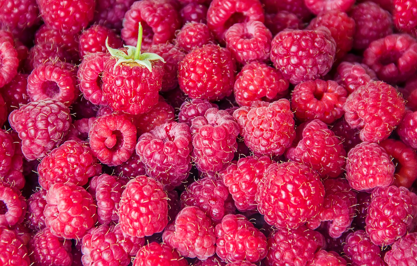Wallpaper Raspberry Background Berry Berries