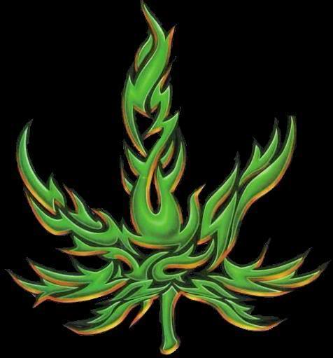 Weed Cool Graphic