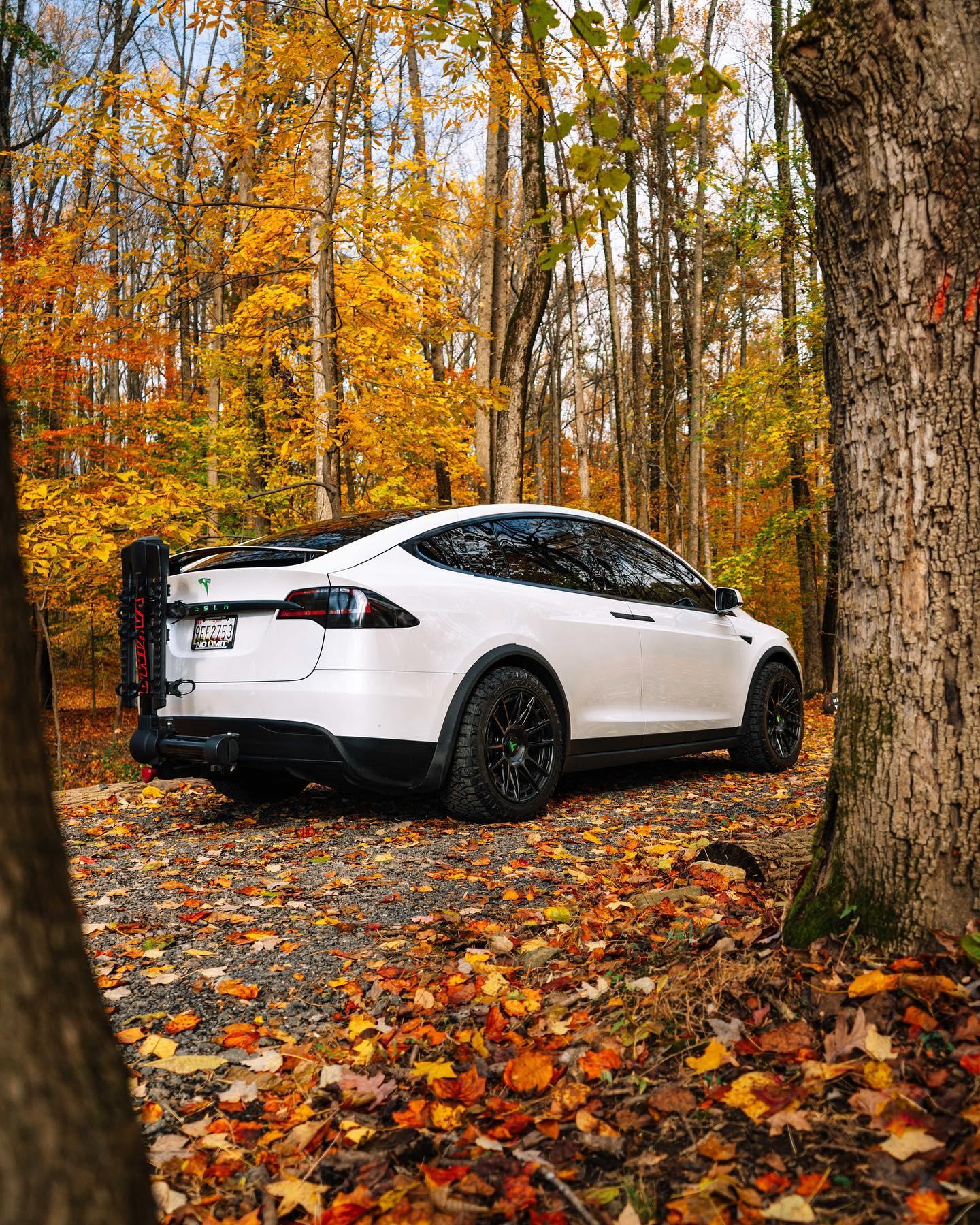 No Limit Bmore Tesla Model X Fall Edition Wheels