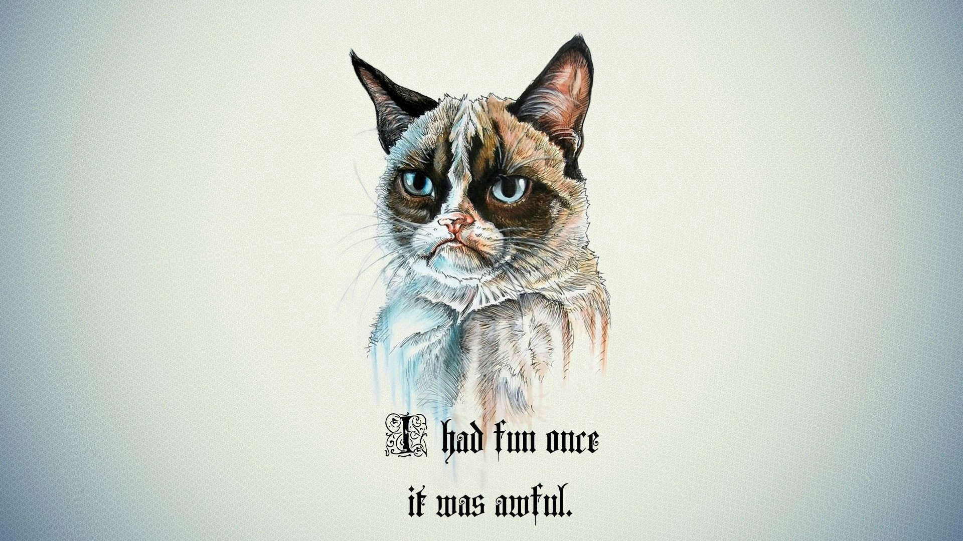 Funny Meme Wallpaper