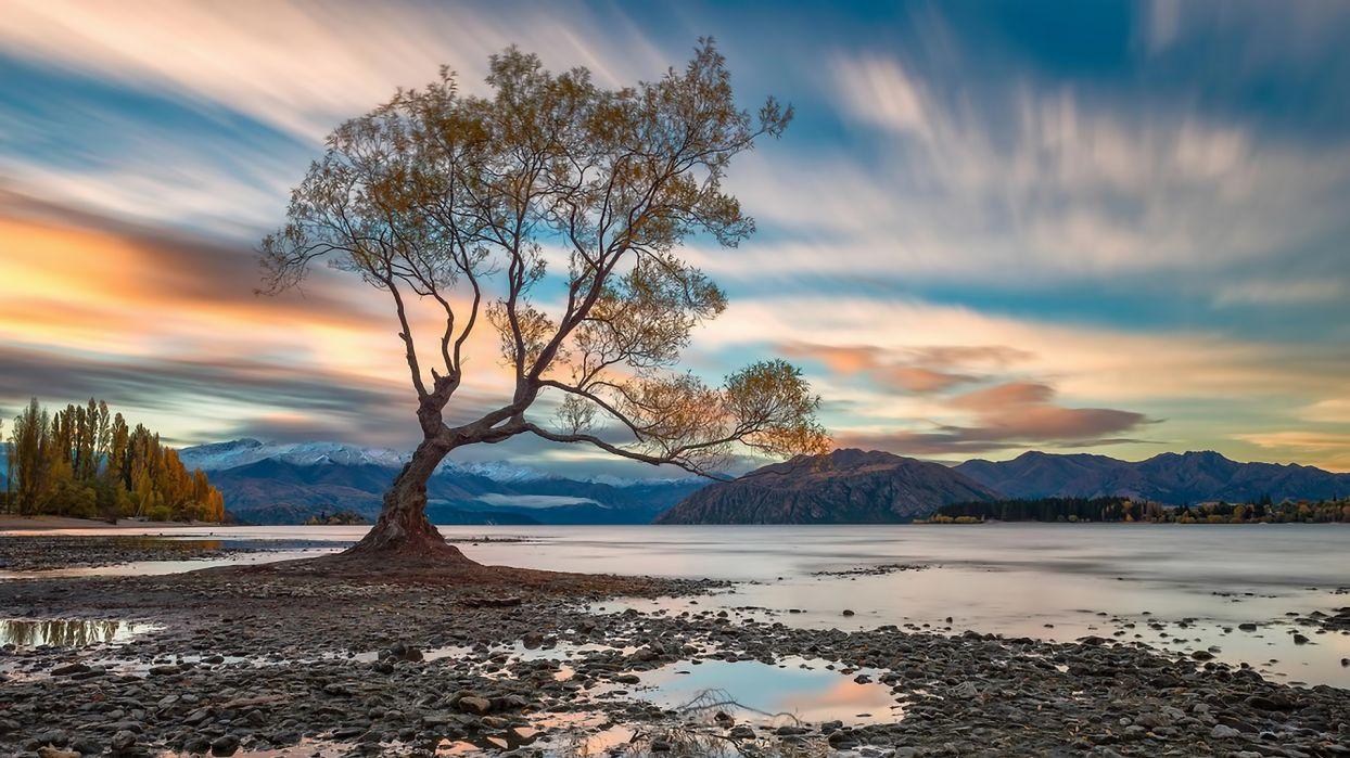 Landscape Mountains Lake Sky Clouds Tree Wanaka Wallpaper