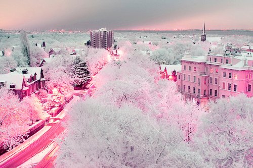 Beautiful Pink Scenery Winter Image On Favim