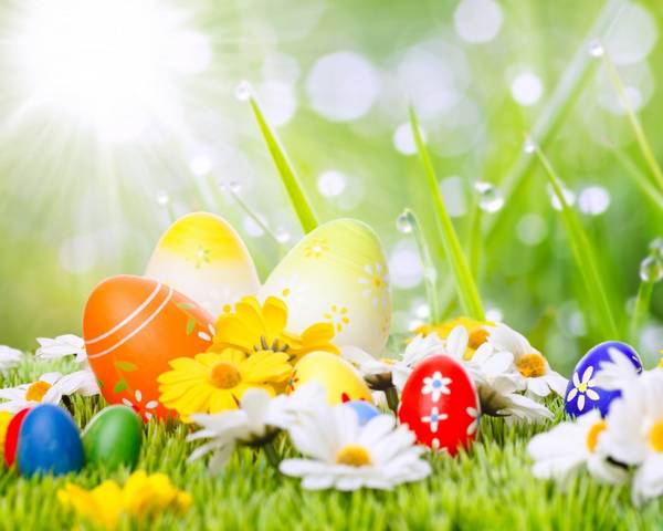 30 Cute and Funny Easter Wallpapers Ginva