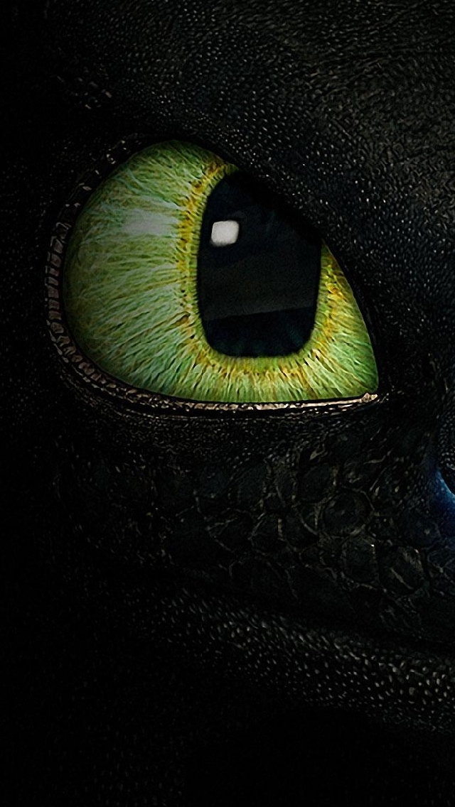 iPhone Wallpaper How to train your dragon Toothless   My HD Wallpapers