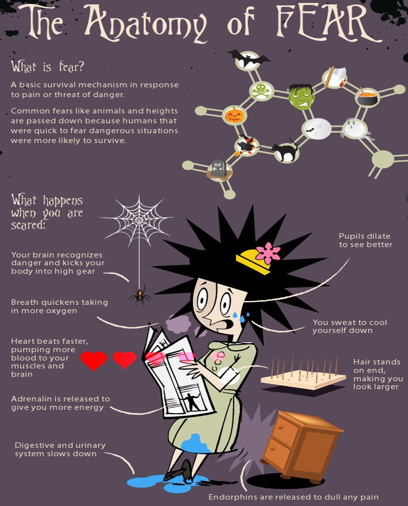 The Anatomy Of Fear Infographic