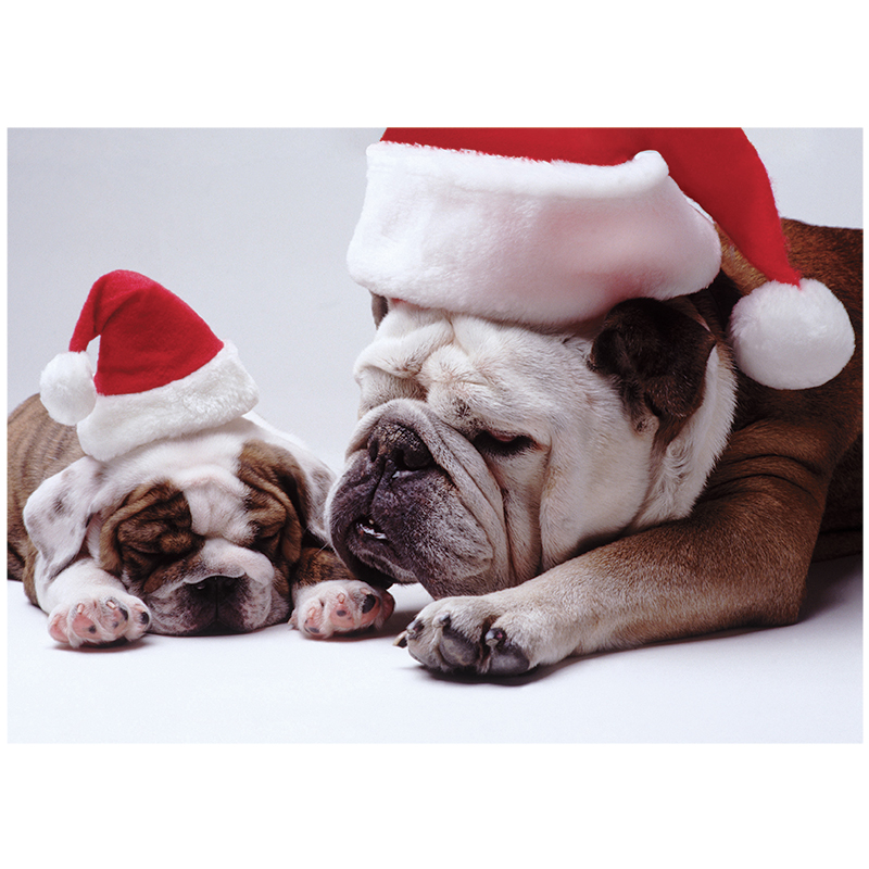 Bulldog Christmas Cards Santa S Little Helpers