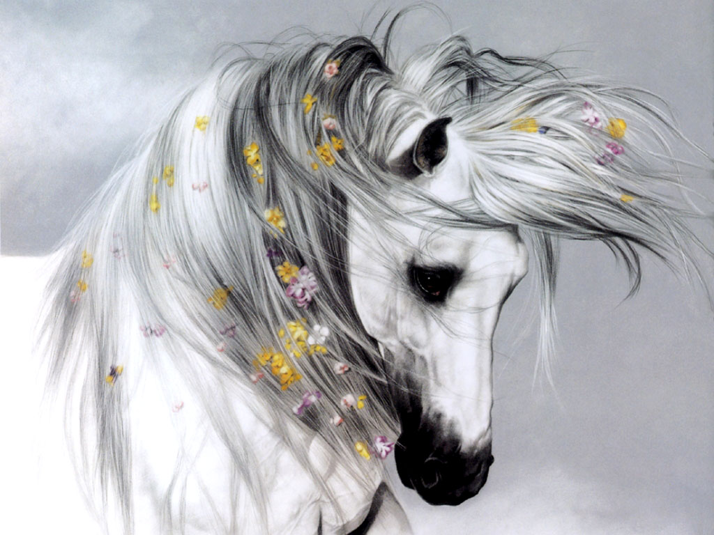 Pictures White Horse 3d Wallpaper And