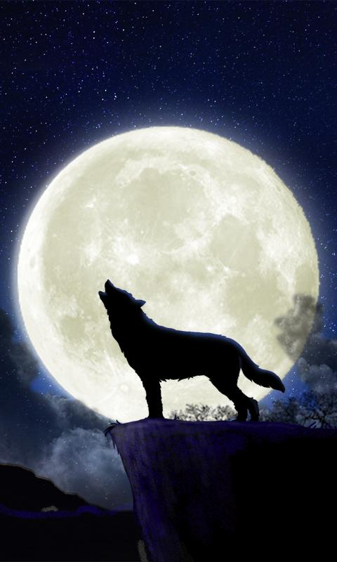 Howling Wolf Live Wallpaper Android Apps On Google Play