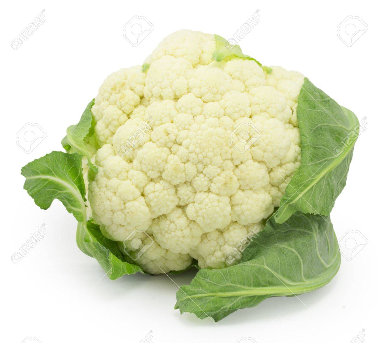 Still Life Cauliflower On A White Background Stock Photo Picture