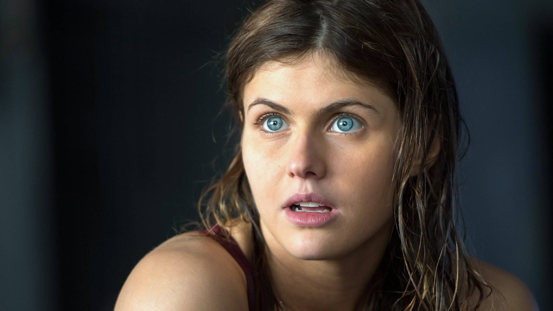 Alexandra Daddario 4k Wallpaper