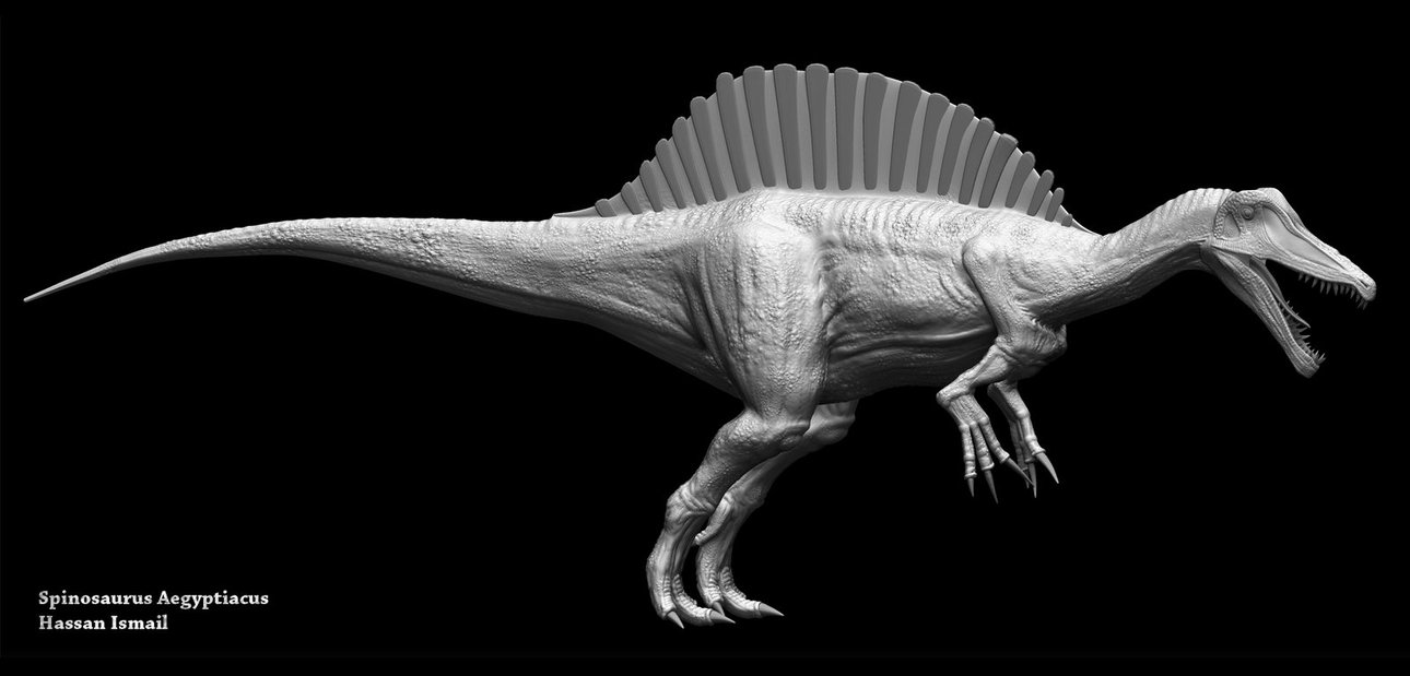 Spinosaurus Aegyptiacus In Zbrush By Hanxopx
