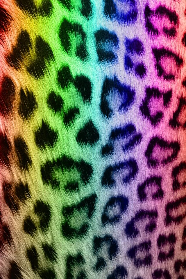 Leopard Print Colorful Wallpaper Cheetos