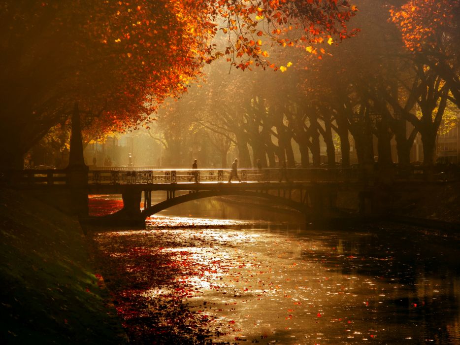 Dusseldorf Royal Avenue Bridge Canal Trees Autumn Mood Wallpaper