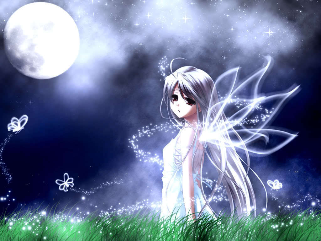 Borboleta Fairy Fadas Wallpaper