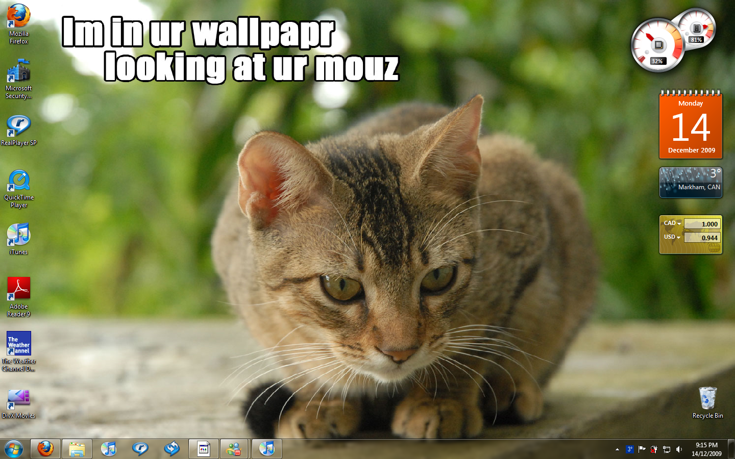 Best Embarrassing Desktop Background