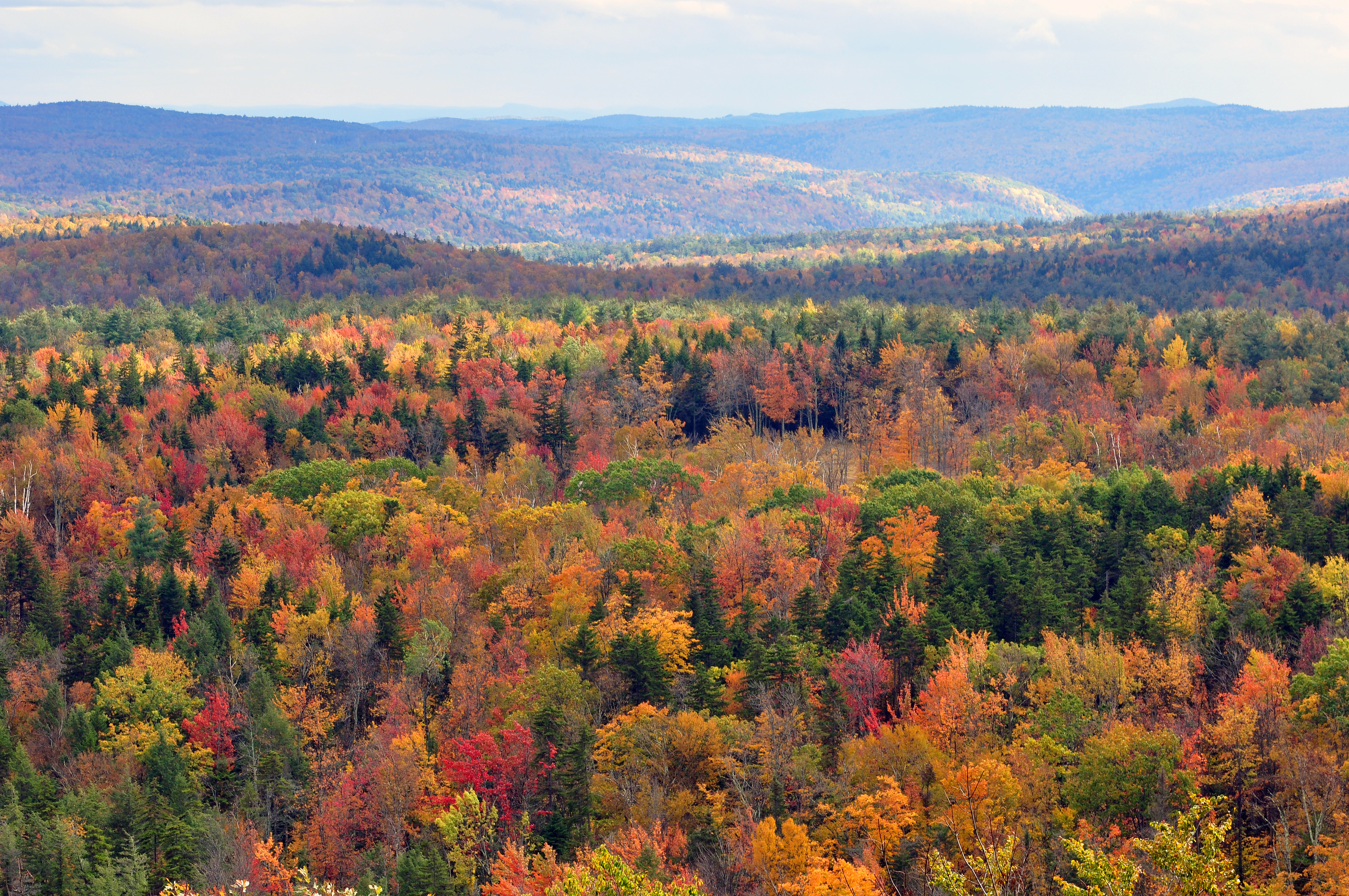 File Vermont Fall Foliage Hogback Mountain Jpg Wikimedia