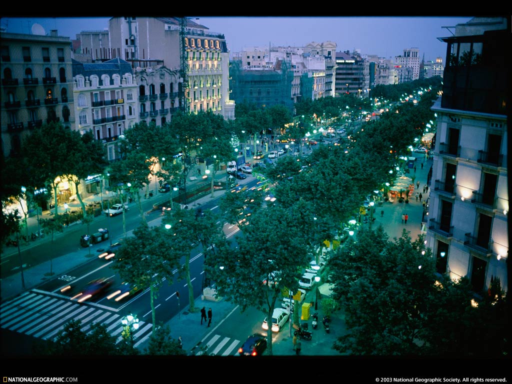 Barcelona Spain Grand Boulevard Photo Of The Day Picture