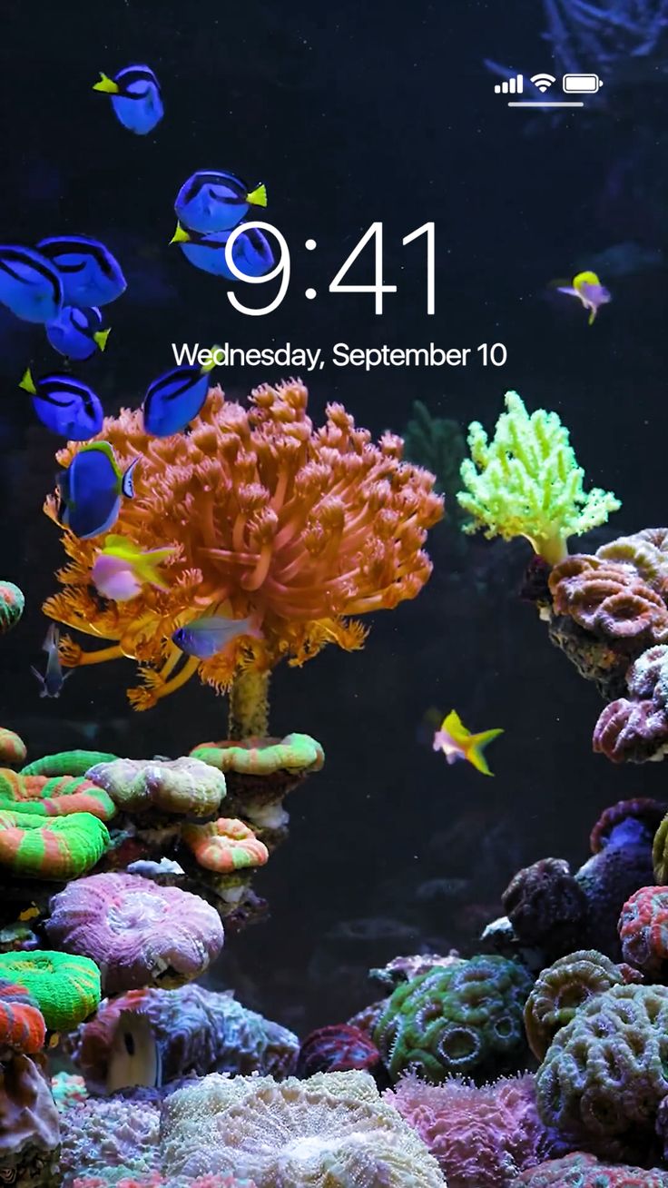 Best Animated Wallpaper For iPhone