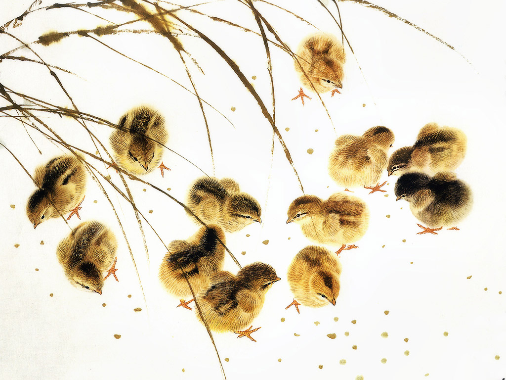 Baby Chicks Wallpaper
