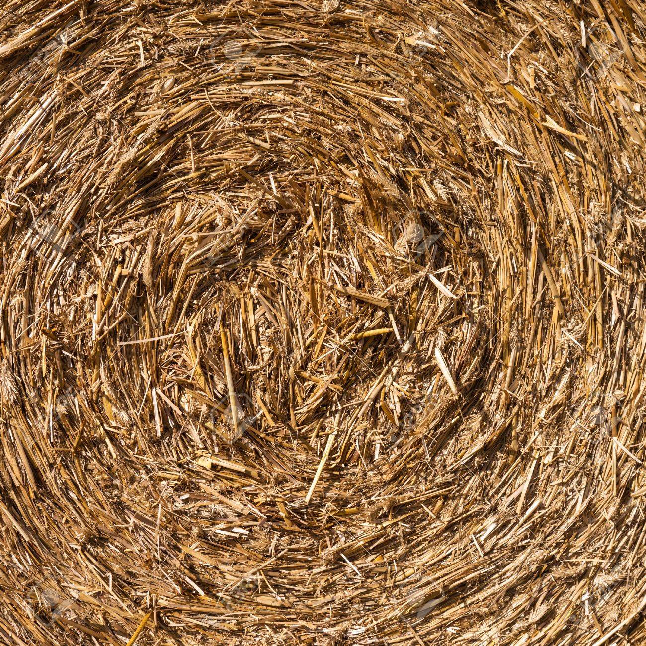Straw Bale Background Texture Closeup Stock Photo Picture And