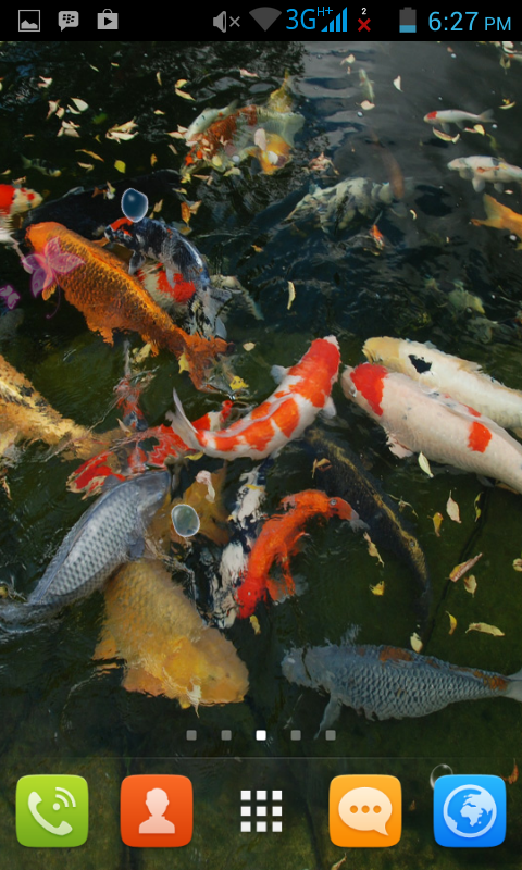  50 Koi Fish Live Wallpaper on WallpaperSafari