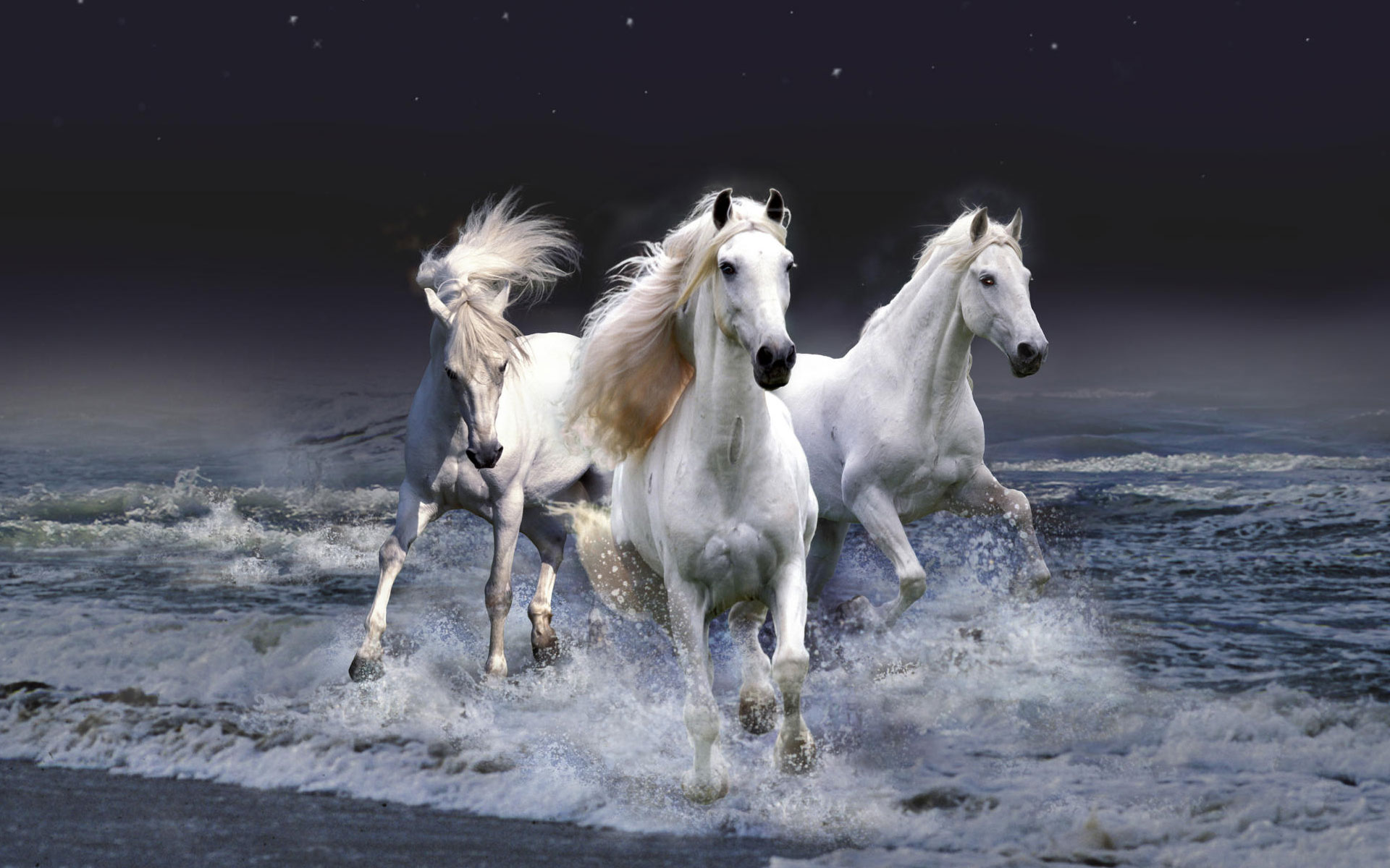 Mystic Horses Wallpaper HD