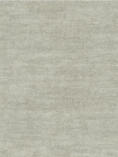 Silver Scroll Texture Wallpaper Pattern Ew6720 Name