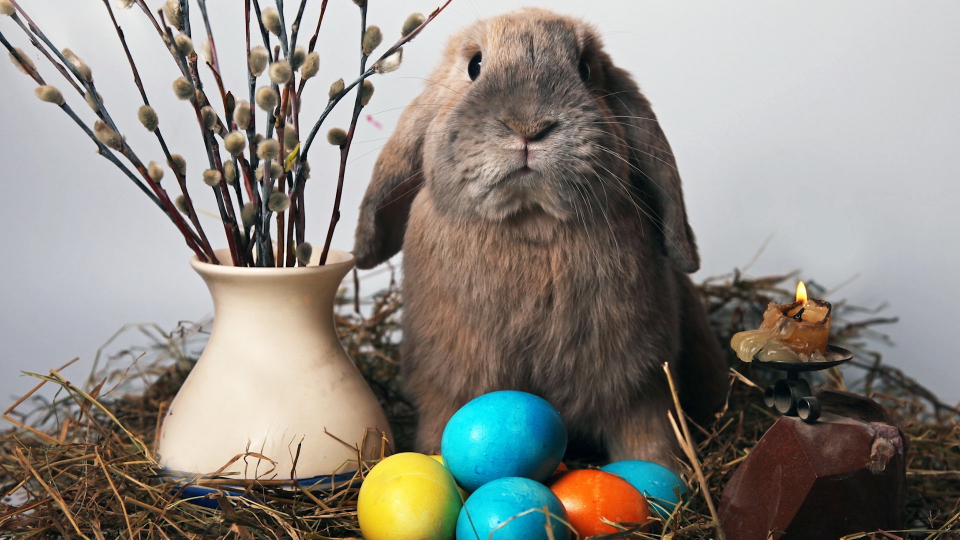 HD Bunnies And Easter Wallpaper Desktop Background Funmole