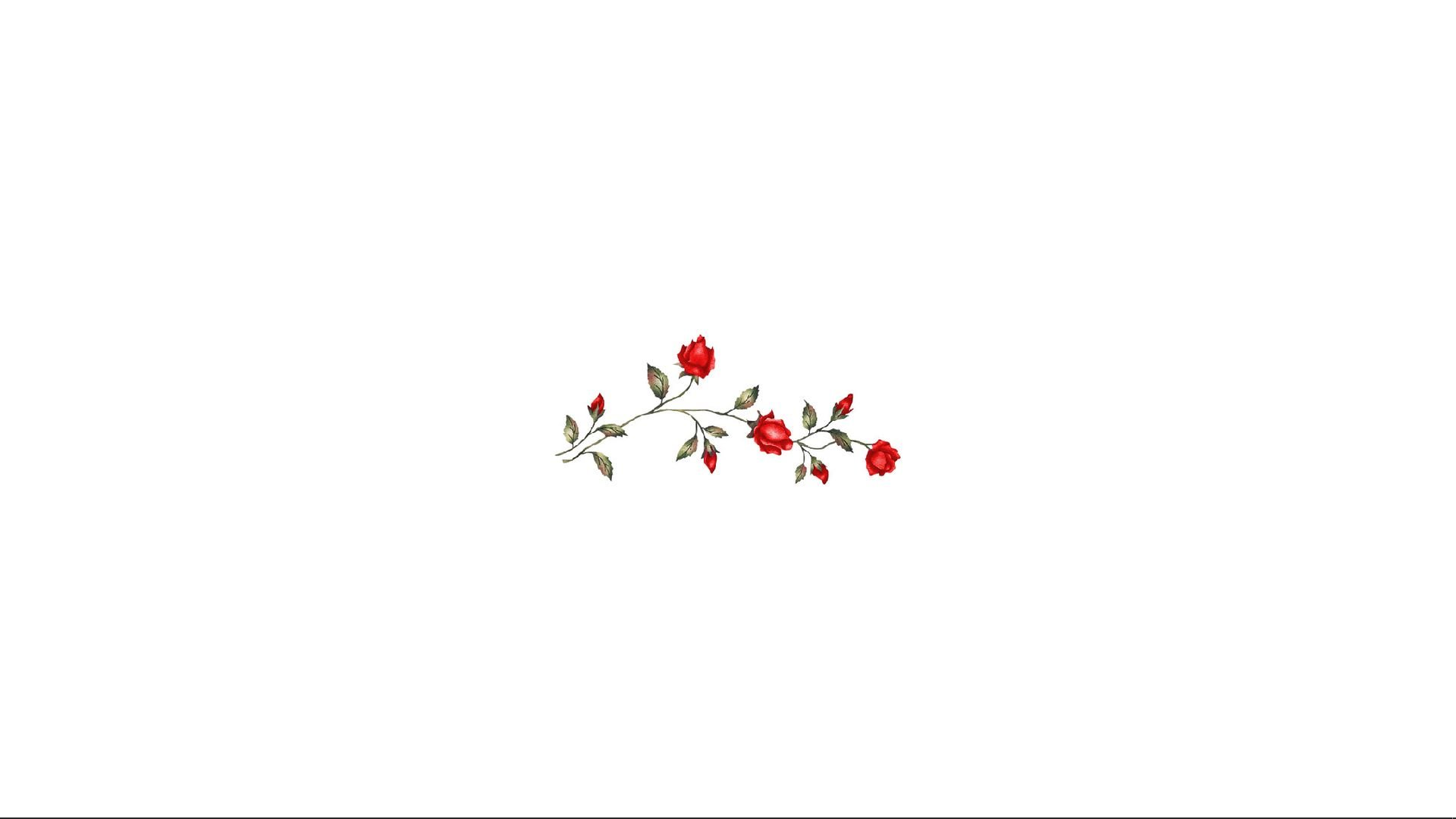 red roses background for computer white and red and white