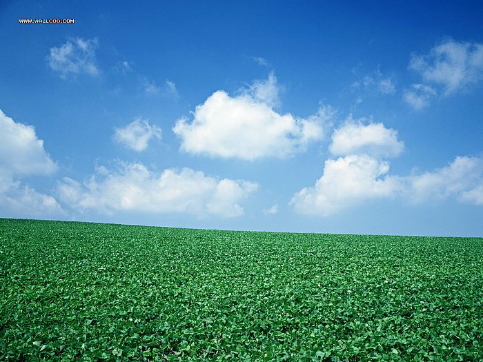 Perfect Farm Scene Wallpaper Vast Country Under Blue Sky11