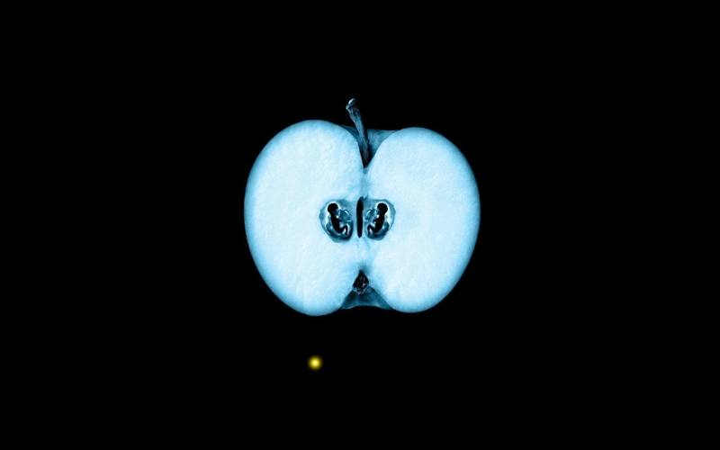 Fringe tv fringe xray posters germs apples fetus 2560x1600 wallpaper