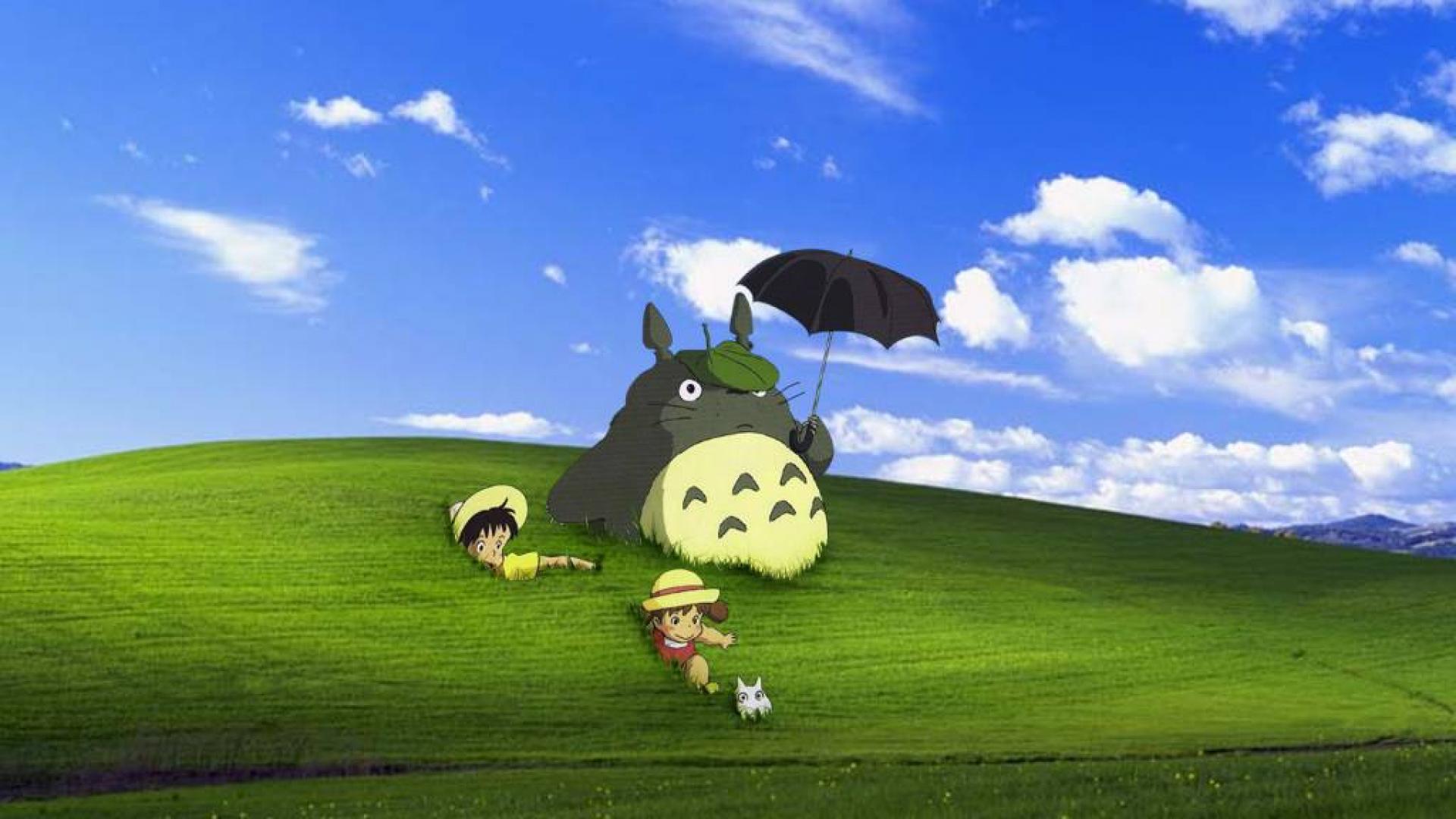 Totoro By Iamaboysheisagirl Wallpaper Hq