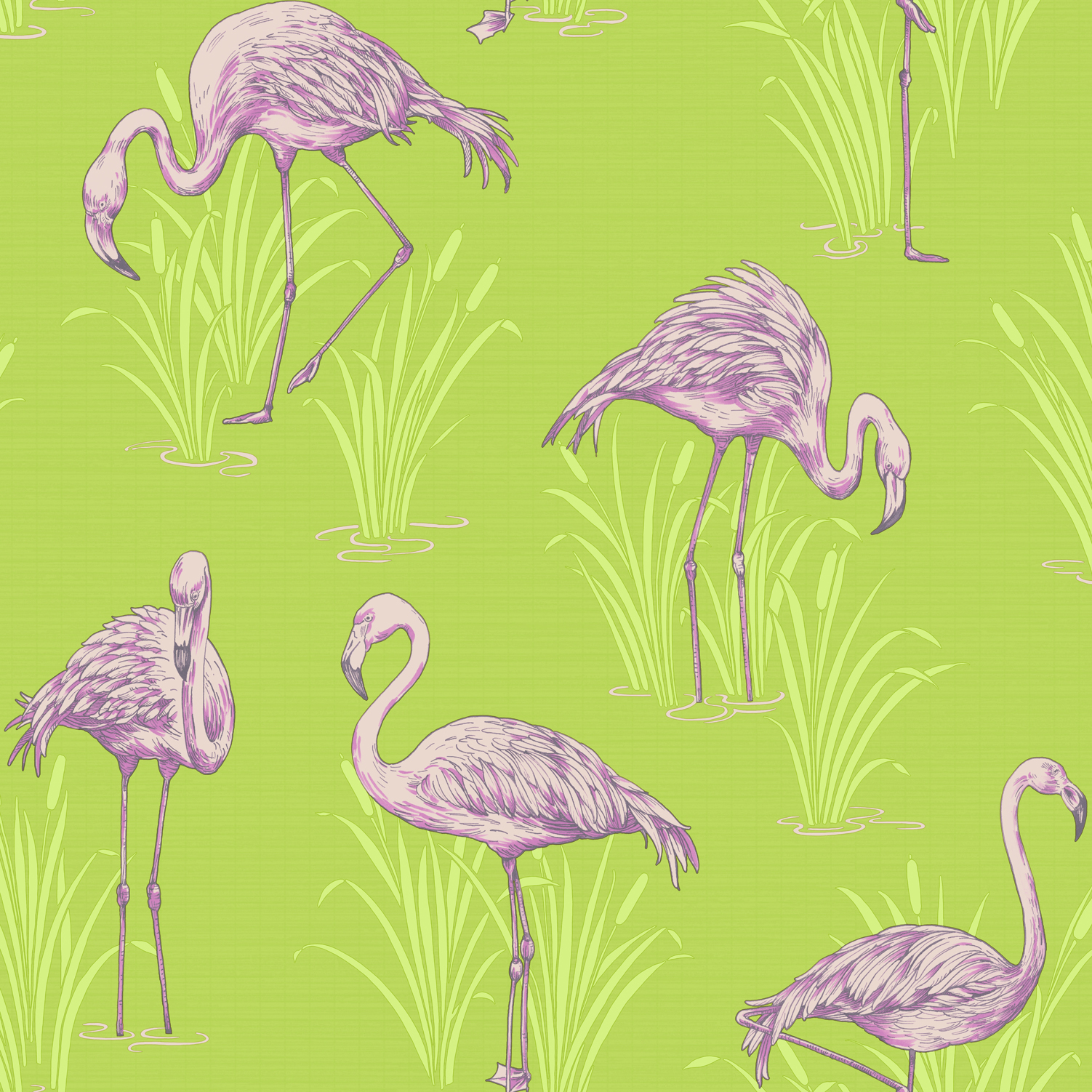 Green Pink Lagoon Flamingo Wallpaper By Arthouse