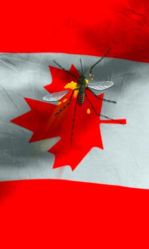 Canada flag live wallpaper   Android Apps on Google Play 480x800
