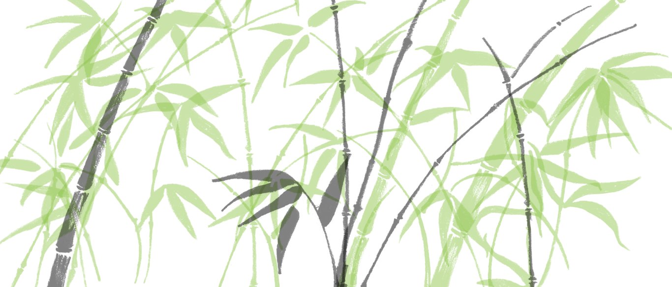 Bamboo Background By Akibutt