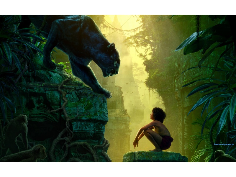 The Jungle Book Movie Poster Wallpaper