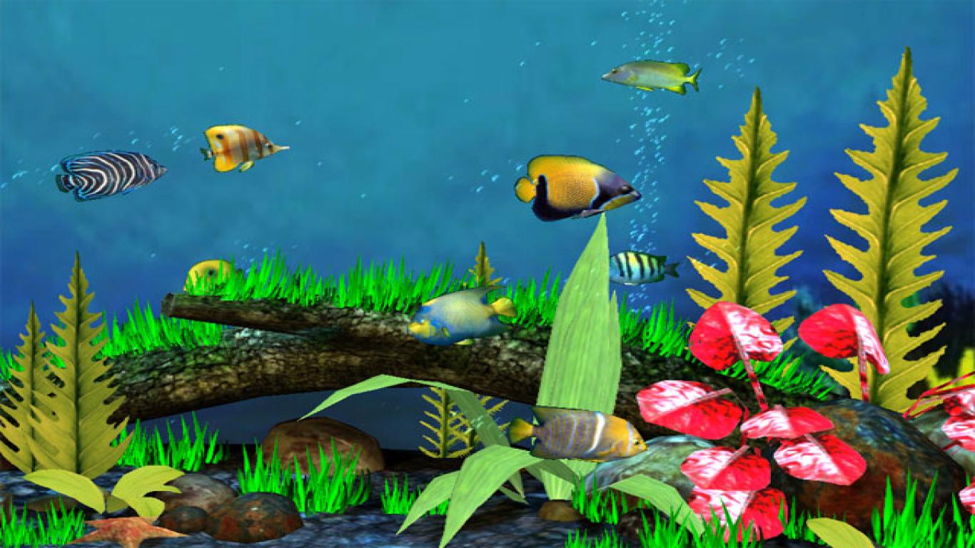 3D Tropical Fish Desktop Wallpapers - WallpaperSafari