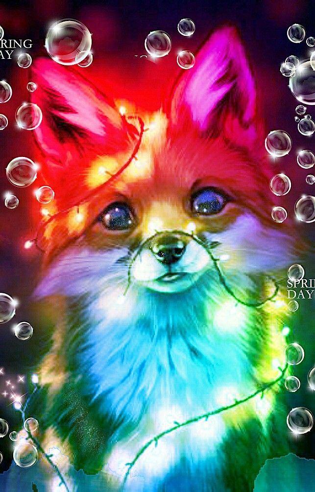 Cute Rainbow Fox Animal Drawings Cartoon Animals