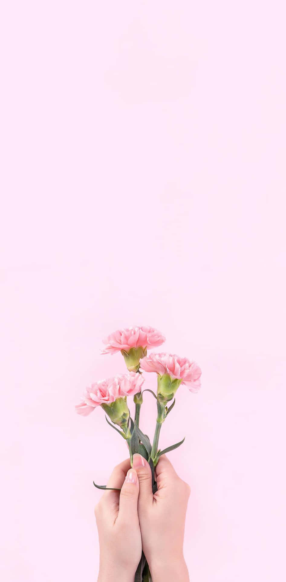 Aesthetic Baby Pink Wallpaper