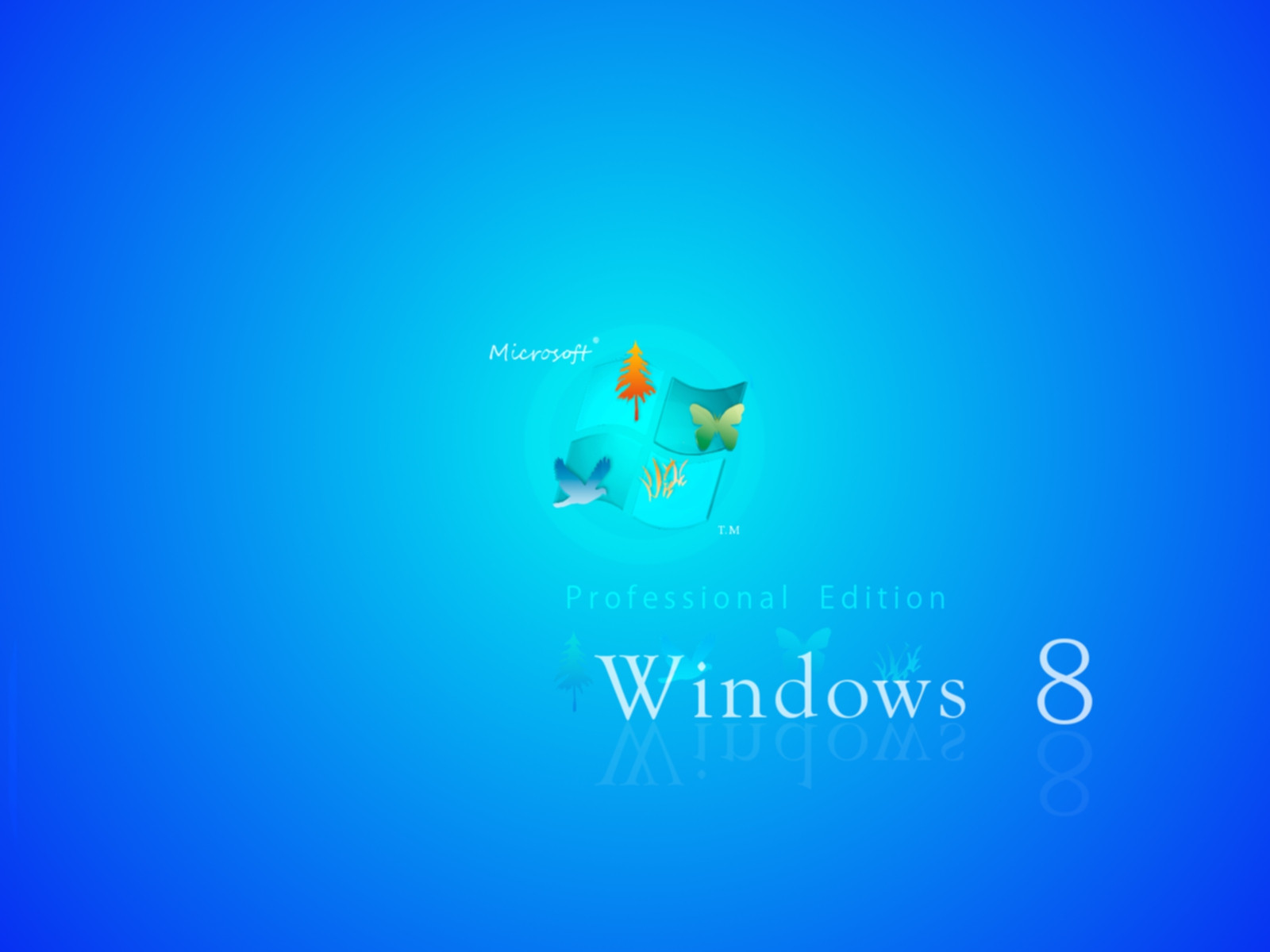 Windows Screensaver By Nhratf