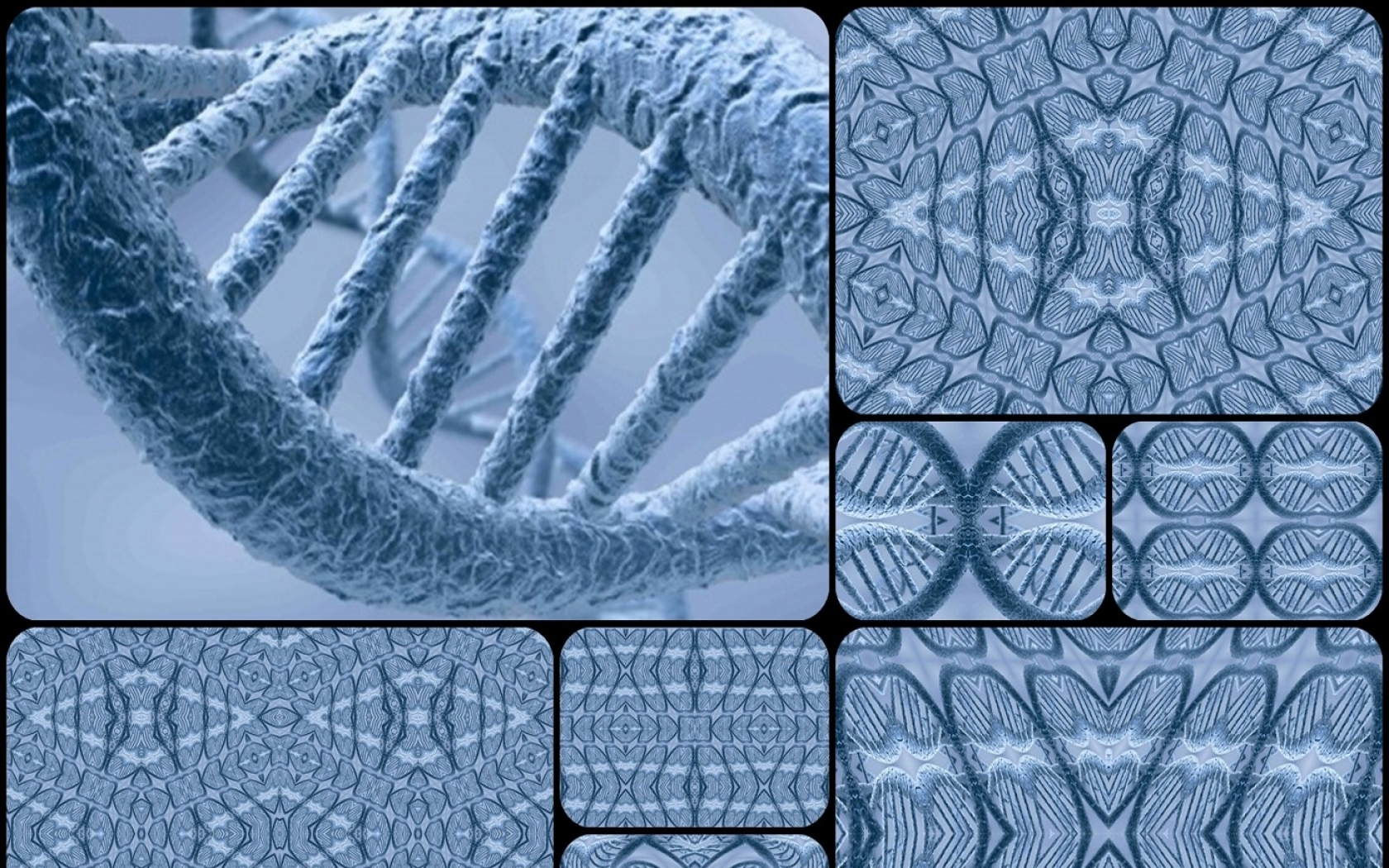 Dna Cells Biochemistry Wallpaper Art HD