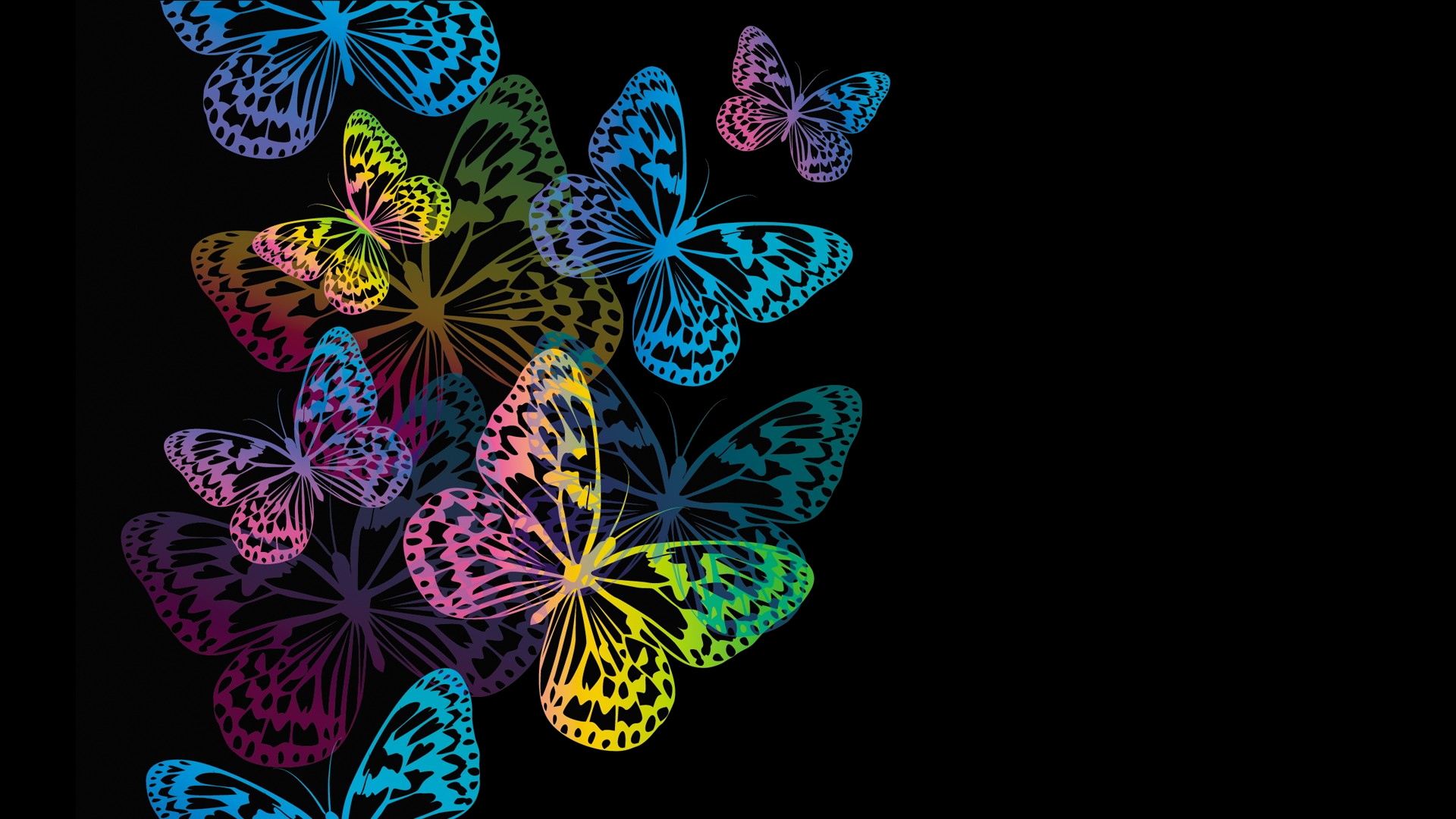 Colorful Butterflies HD Wallpaper Background Image