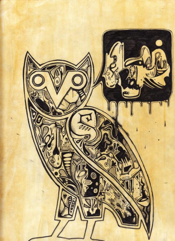 Images Ovoxo Drake Owl Vanuax Com Wallpaper Picture