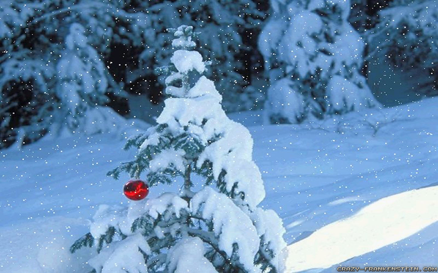 Christmas Nature Scenes Wallpaper Wallpapercharlie