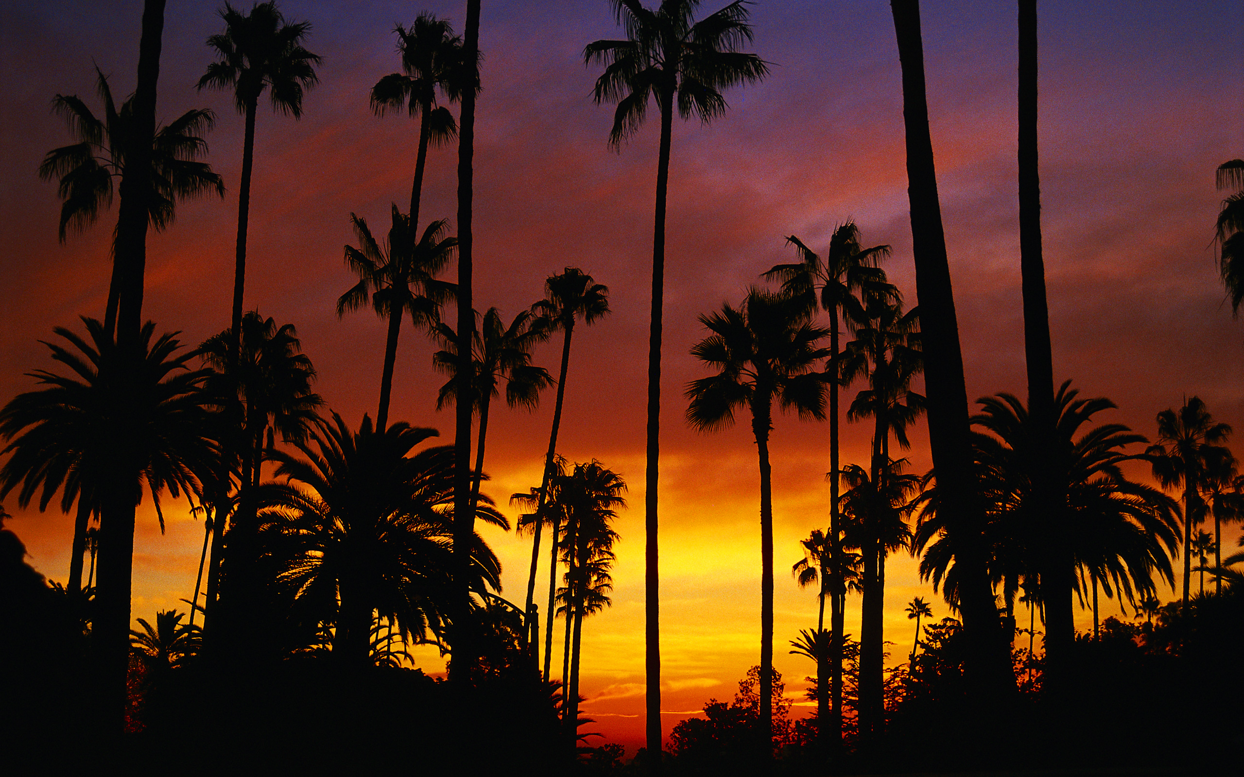 Wallpaper Malibu California sunset beach ocean coast sky 5k Travel  17850