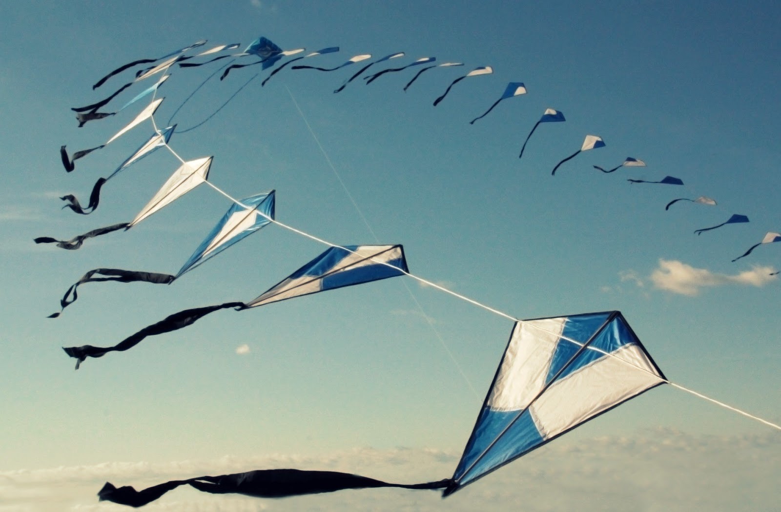 Kites In A Row Three Uttrayan Many