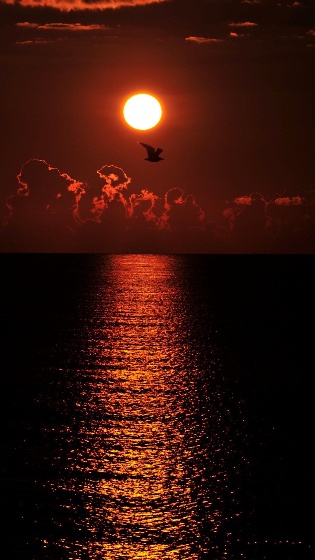 HD Wallpaper For Cell Phone