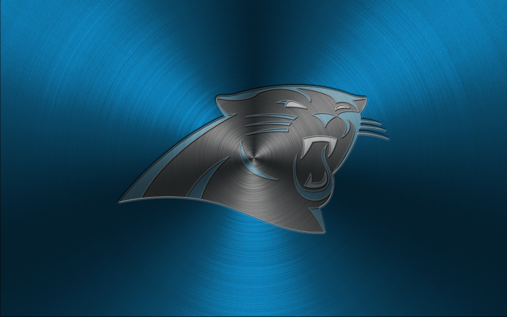 Carolina Panthers 2013 by EaglezRock on