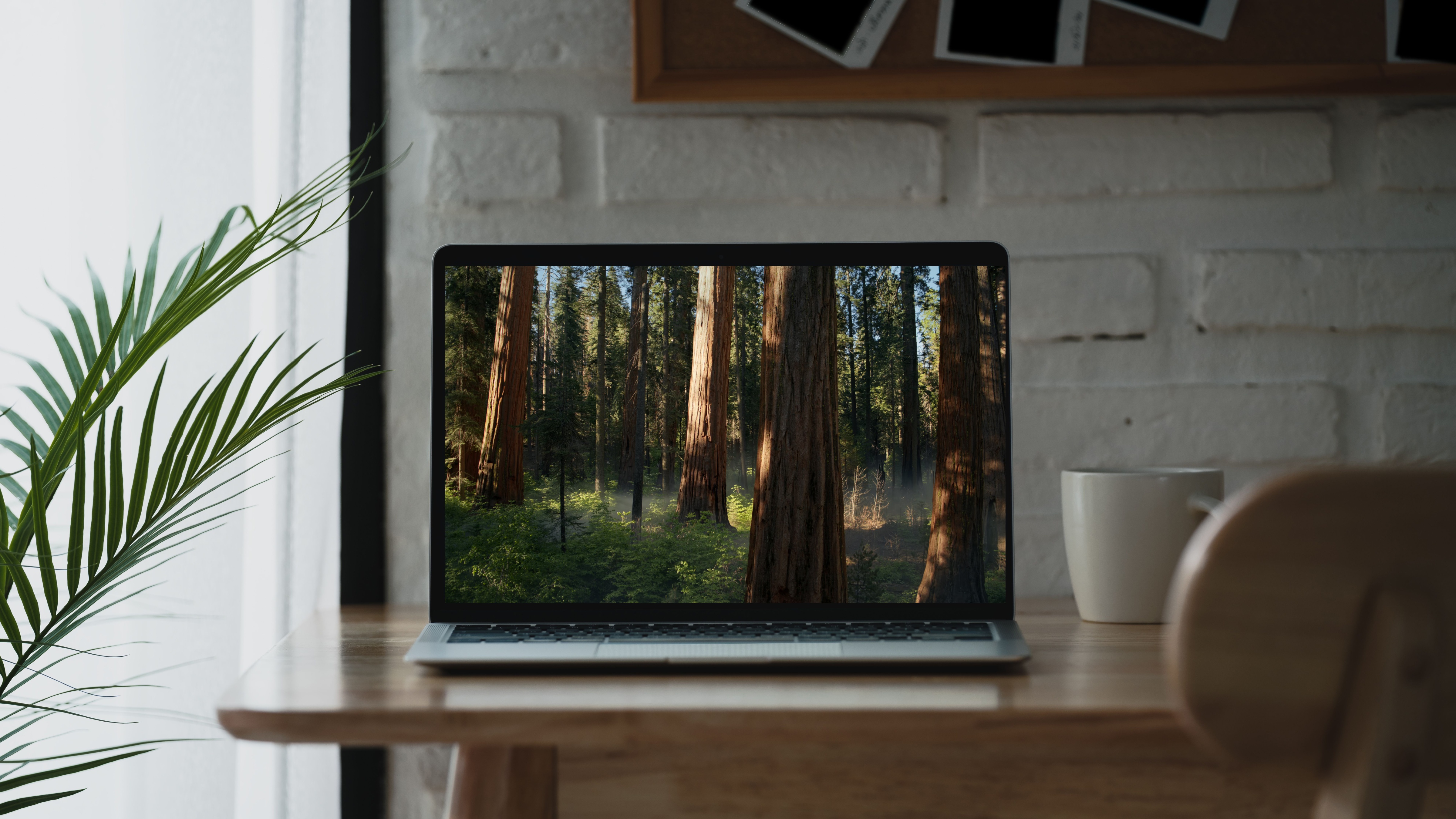 A laptop displaying a serene forest scene rests on a wooden desk, suggesting a peaceful and nature-inspired workspace